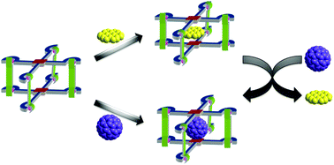Graphical abstract: Guest encapsulation and coronene–C60 exchange in supramolecular zinc porphyrin tweezers, grids and prisms