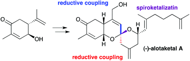 Graphical abstract: Total synthesis and structure–activity relationship study of the potent cAMP signaling agonist (−)-alotaketal A