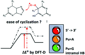 Graphical abstract: Addressing the competitive formation of tandem DNA lesions by a nucleobase peroxyl radical: a DFT-D screening