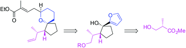 Graphical abstract: Convergent approach to complex spirocyclic pyrans: practical synthesis of the oxa-pinnaic acid core