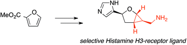 Graphical abstract: Synthesis and pharmacological characterization of new tetrahydrofuran based compounds as conformationally constrained histamine receptor ligands