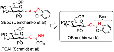 Graphical abstract: O-Benzoxazolyl imidates as versatile glycosyl donors for chemical glycosylation