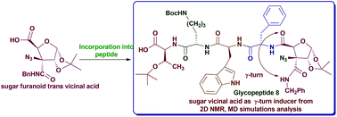 Graphical abstract: Sugar furanoid trans-vicinal diacid as a γ-turn inducer: synthesis and conformational study