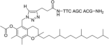 Graphical abstract: Synthesis and effects of conjugated tocopherol analogues on peptide nucleic acid hybridisation