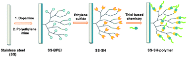Graphical abstract: Stainless steel surfaces with thiol-terminated hyperbranched polymers for functionalization via thiol-based chemistry