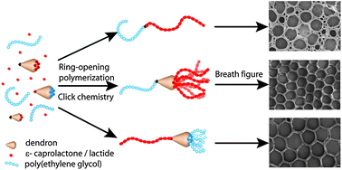 Graphical abstract: A one component methodology for the fabrication of honeycomb films from biocompatible amphiphilic block copolymer hybrids: a linear–dendritic–linear twist