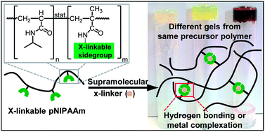 Graphical abstract: A modular construction kit for supramolecular polymer gels