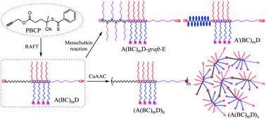 Graphical abstract: Synthesis and versatile postpolymerization modification of couplable A(BC)mD heterografted comblike block quaterpolymers