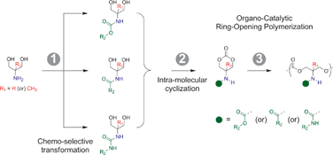 Graphical abstract: 2-Amino-1,3-propane diols: a versatile platform for the synthesis of aliphatic cyclic carbonate monomers