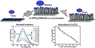 Graphical abstract: Thermo-responsive photoluminescent polymer brushes device as a platform for selective detection of Cr(vi)