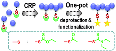 Graphical abstract: Evaluation of thiocarbonyl and thioester moieties as thiol protecting groups for controlled radical polymerization