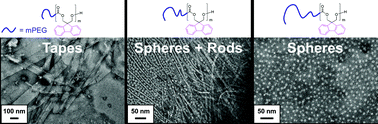 Graphical abstract: Fluorene-functionalized aliphatic polycarbonates: design, synthesis and aqueous self-assembly of amphiphilic block copolymers