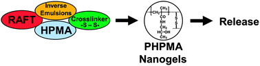 Graphical abstract: Poly[N-(2-hydroxypropyl)methacrylamide] nanogels by RAFT polymerization in inverse emulsion