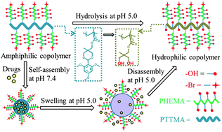 Graphical abstract: Acid-induced disassemblable nanoparticles based on cyclic benzylidene acetal-functionalized graft copolymer via sequential RAFT and ATRP polymerization