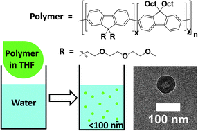 Graphical abstract: Fluorescent nanoparticles from PEGylated polyfluorenes