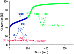 Graphical abstract: Effect of reactive oxygen species on the kinetics of free radical photopolymerization
