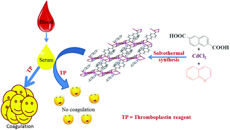 Graphical abstract: Nano dispersion of 3D Cd(ii) coordination polymer: synthetic blood plasma anticoagulant