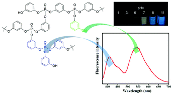 Graphical abstract: Unusual strong fluorescence of a hyperbranched phosphate: discovery and explanations