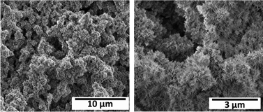 Graphical abstract: Human osteoblast-like cells response to pulsed electrodeposited calcium phosphate coatings