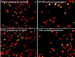 Graphical abstract: Biomimetic calcium–phosphates produced by an auto-catalytic route on stainless steel 316L and bio-inert polyolefin