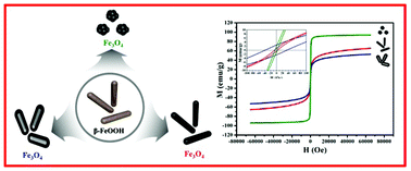 Graphical abstract: Synthesis of various magnetite nanoparticles through simple phase transformation and their shape-dependent magnetic properties