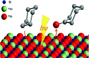 Graphical abstract: Evidence for light-induced oxygen exchange in the oxidation of liquid hydrocarbons on oxygen 18-labelled titanium dioxide
