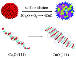Graphical abstract: A facile strategy for the synthesis of hierarchical CuO nanourchins and their application as non-enzymatic glucose sensors