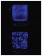Graphical abstract: Correlation between sonochemistry and sonoluminescence at various frequencies
