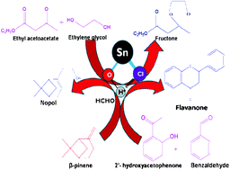 Graphical abstract: Condensation reactions assisted by acidic hydrogen bonded hydroxyl groups in solid tin(ii)hydroxychloride