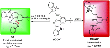 Graphical abstract: Ratiometric spiropyran-based fluorescent pH probe