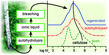 Graphical abstract: Enhancement of ionic liquid-aided fractionation of birchwood. Part 1: autohydrolysis pretreatment