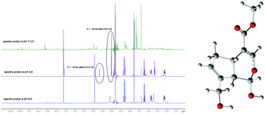 Graphical abstract: Structure of genipin in solution: a combined experimental and theoretical study