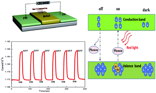 Graphical abstract: Synthesis of MoSe2 flower-like nanostructures and their photo-responsive properties