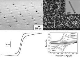 Graphical abstract: Microelectrode arrays based on carbon nanomaterials: emerging electrochemical sensors for biological and environmental applications