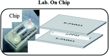 Graphical abstract: Antibacterial porous polymeric monolith columns with amphiphilic and polycationic character on cross-linked PMMA substrates for cell lysis applications