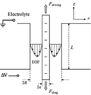 Graphical abstract: Prediction of the effective force on DNA in a nanopore based on density functional theory