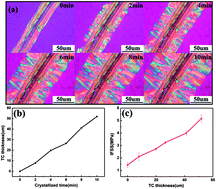 Graphical abstract: Interfacial strength and mechanical properties of biocomposites based on ramie fibers and poly(butylene succinate)