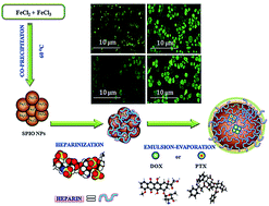 Graphical abstract: Novel biodegradable heparin-coated nanocomposite system for targeted drug delivery