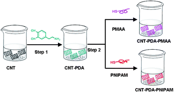 Graphical abstract: Mussel inspired modification of carbon nanotubes using RAFT derived stimuli-responsive polymers