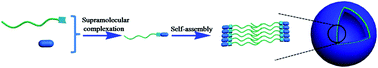 Graphical abstract: Vesicles from supramolecular amphiphiles