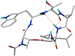 Graphical abstract: Structure determination of the bioactive depsipeptide xenobactin from Xenorhabdus sp. PB30.3