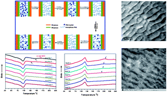 Graphical abstract: Crystallization behavior of polyamide 6 confined in a strip-like rubbery phase