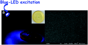 Graphical abstract: Visible-light sensitized sol–gel-based lanthanide complexes (Sm, Yb, Nd, Er, Pr, Ho, Tm): microstructure, photoluminescence study, and thermostability