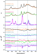 Graphical abstract: Stereo-chemical analysis of racemization of a chiral bipyridine
