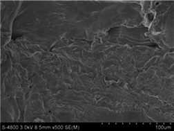 Graphical abstract: Aqueous ionic liquids and deep eutectic solvents for cellulosic biomass pretreatment and saccharification