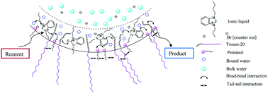 Graphical abstract: Physicochemical studies of water-in-oil nonionic microemulsion in presence of benzimidazole-based ionic liquid and probing of microenvironment using model C–C cross coupling (Heck) reaction