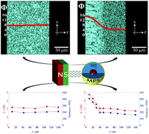 Graphical abstract: A novel synthetic strategy for bioinspired functionally graded nanocomposites employing magnetic field gradients