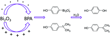 Graphical abstract: Visible-light photocatalytic mechanism of bisphenol-A on nano-Bi2O3: a combined DFT calculation and experimental study
