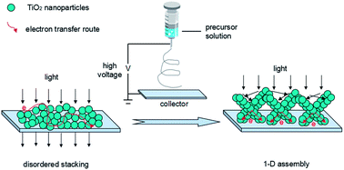 Graphical abstract: One-dimensional assembly of TiO2 nanoparticles toward enhancing light harvesting and electron transport for application in dye-sensitized solar cells