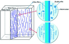 Graphical abstract: Simultaneous improvement of strength and toughness in fiber reinforced isotactic polypropylene composites by shear flow and a β-nucleating agent